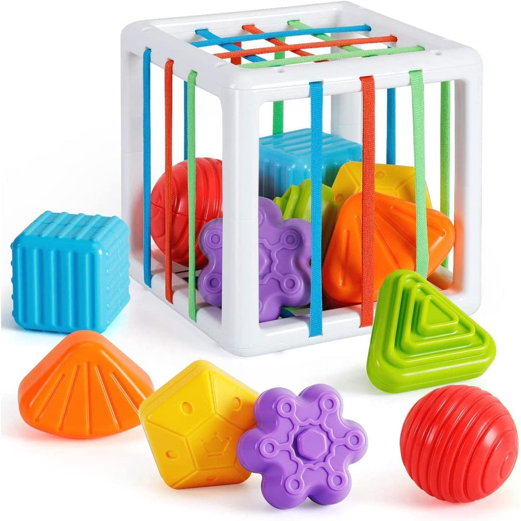 Kids Shape Sorter Toy Motor Skills Learning