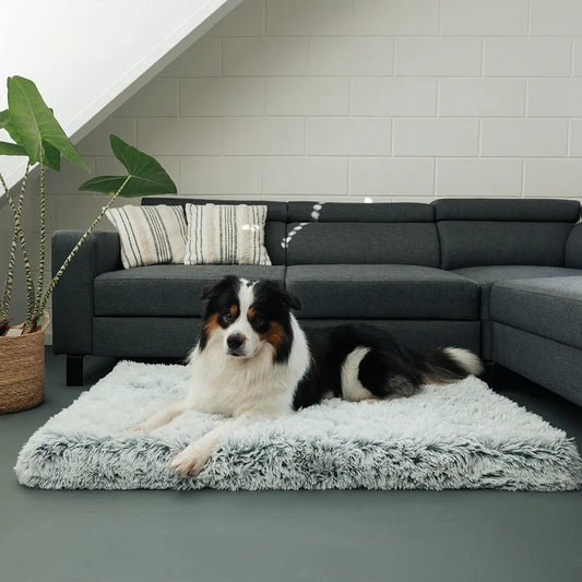 Dog Bed Pillow Memory Foam Support