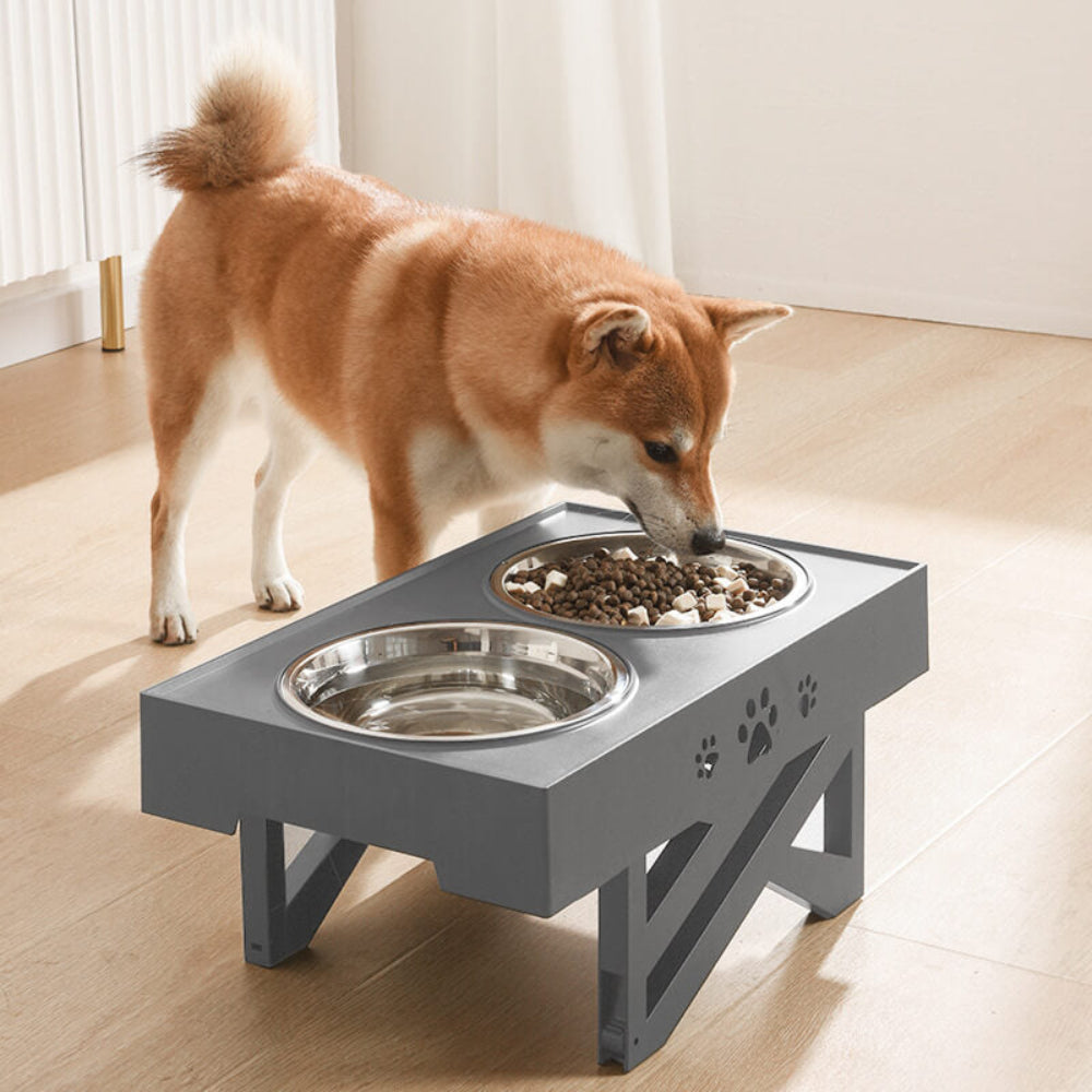 Dog Cat Feed Water Bowls Adjustable