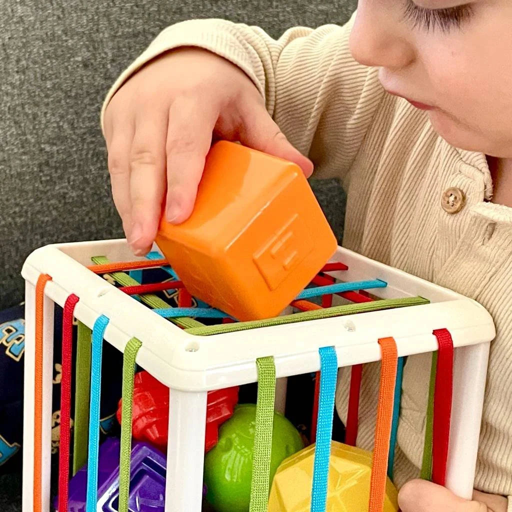 Kids Shape Sorter Toy Motor Skills Learning