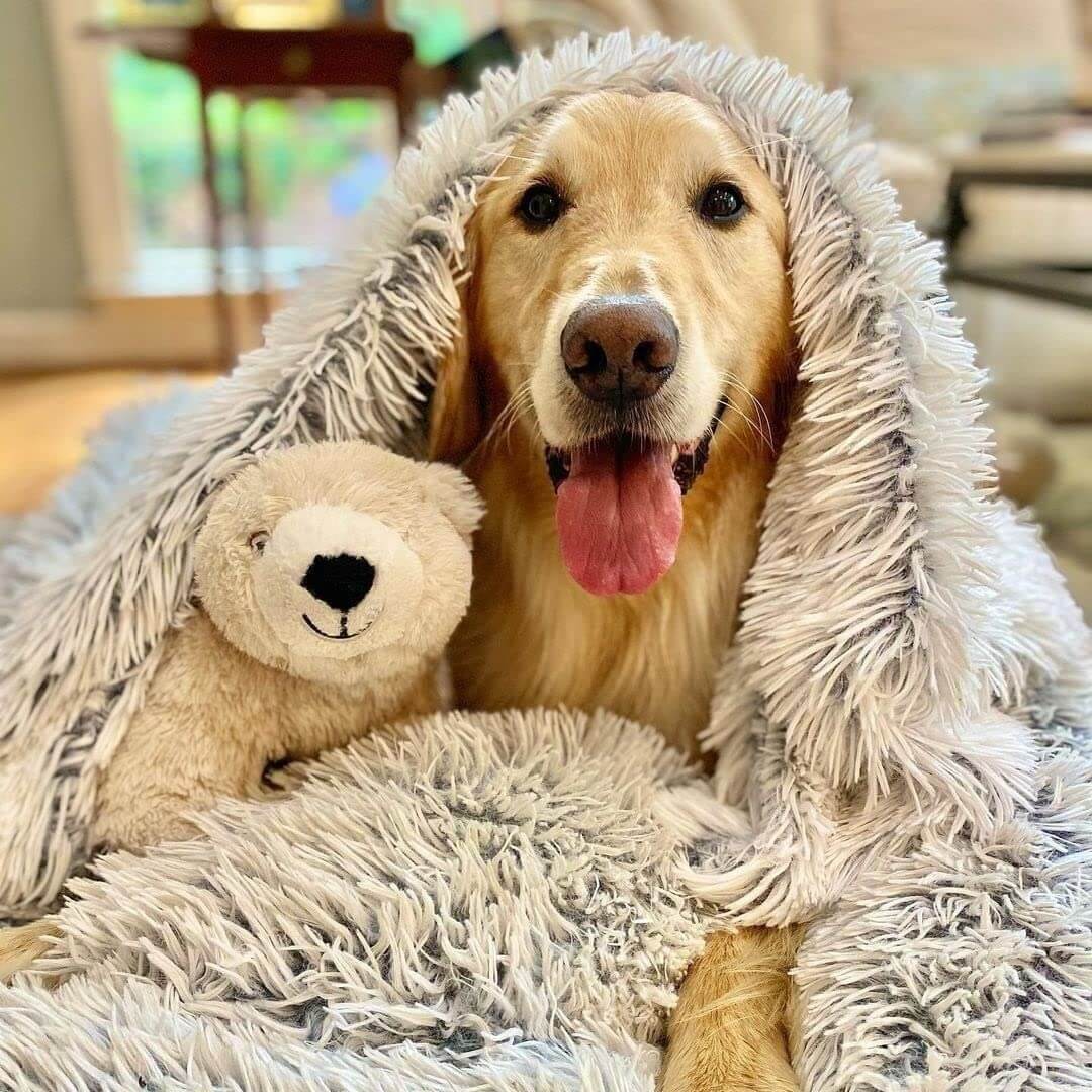 Pet Blanket Soft Washable Dog Cat Bed