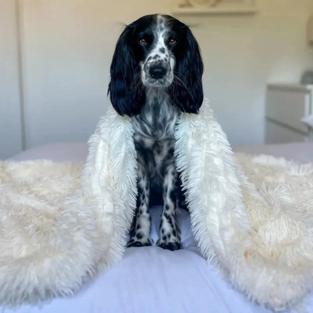 Pet Blanket Soft Washable Dog Cat Bed