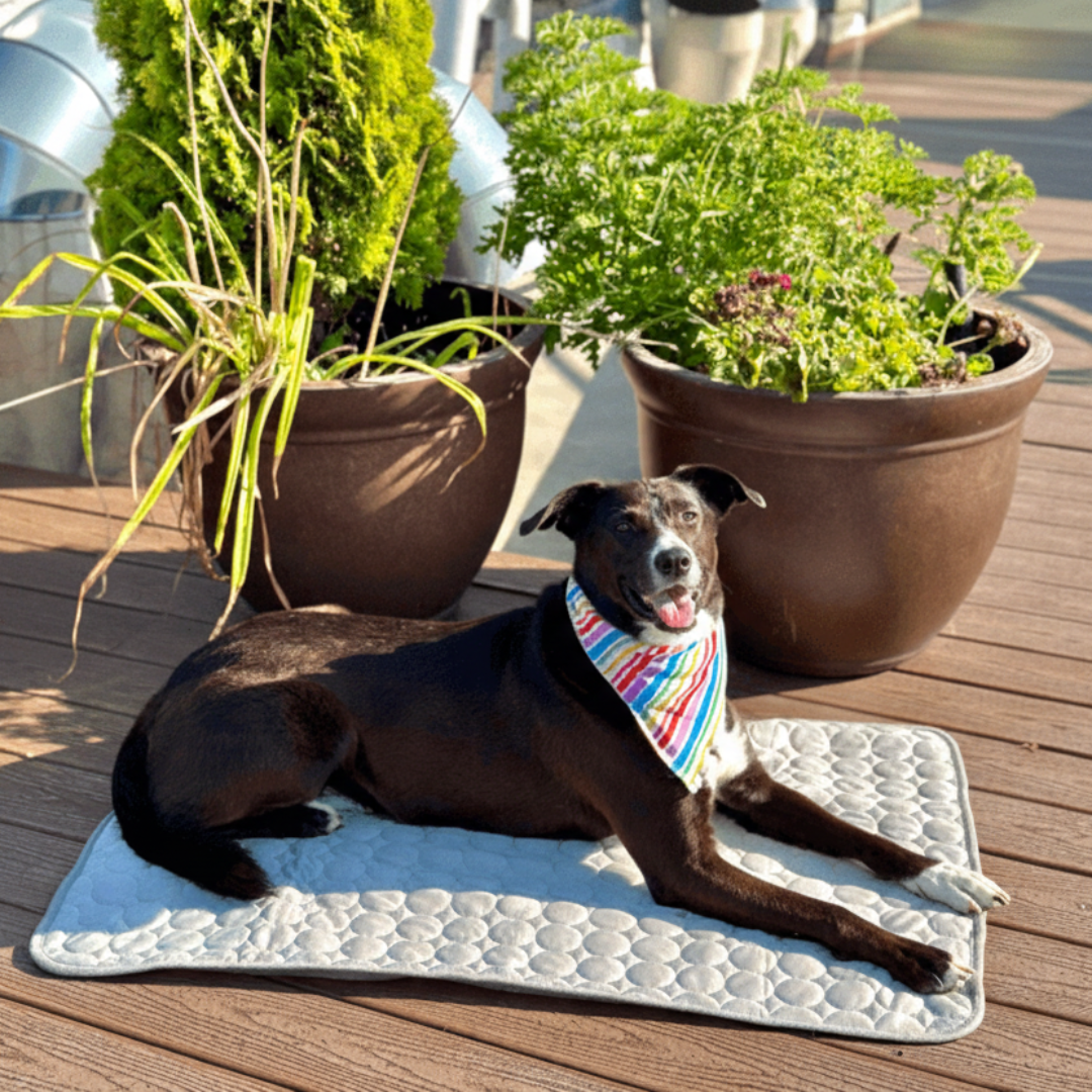 Pet Cooling Mat Indoor Outdoor Pet Bed