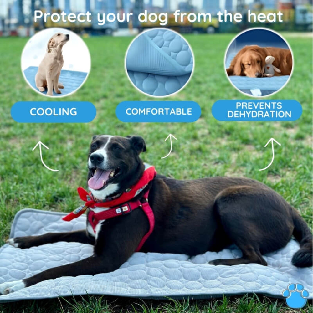Pet Cooling Mat Indoor Outdoor Pet Bed