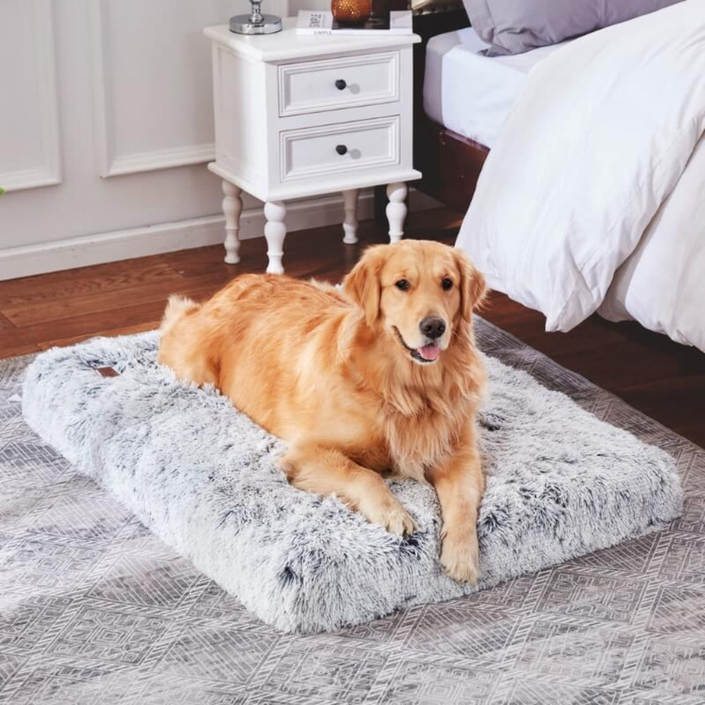 Pet Pillow Soft Resting Foam Cushion