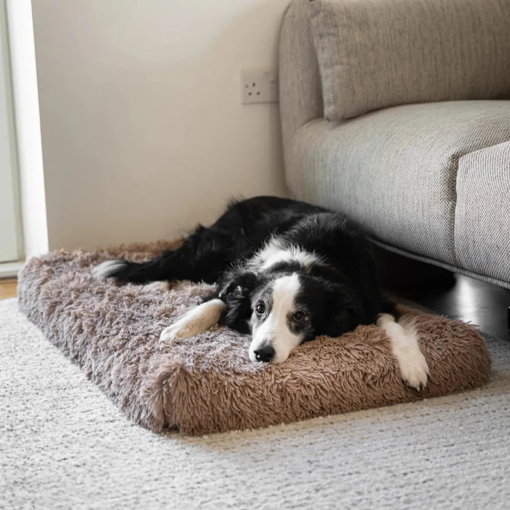 Pet Pillow Soft Resting Foam Cushion
