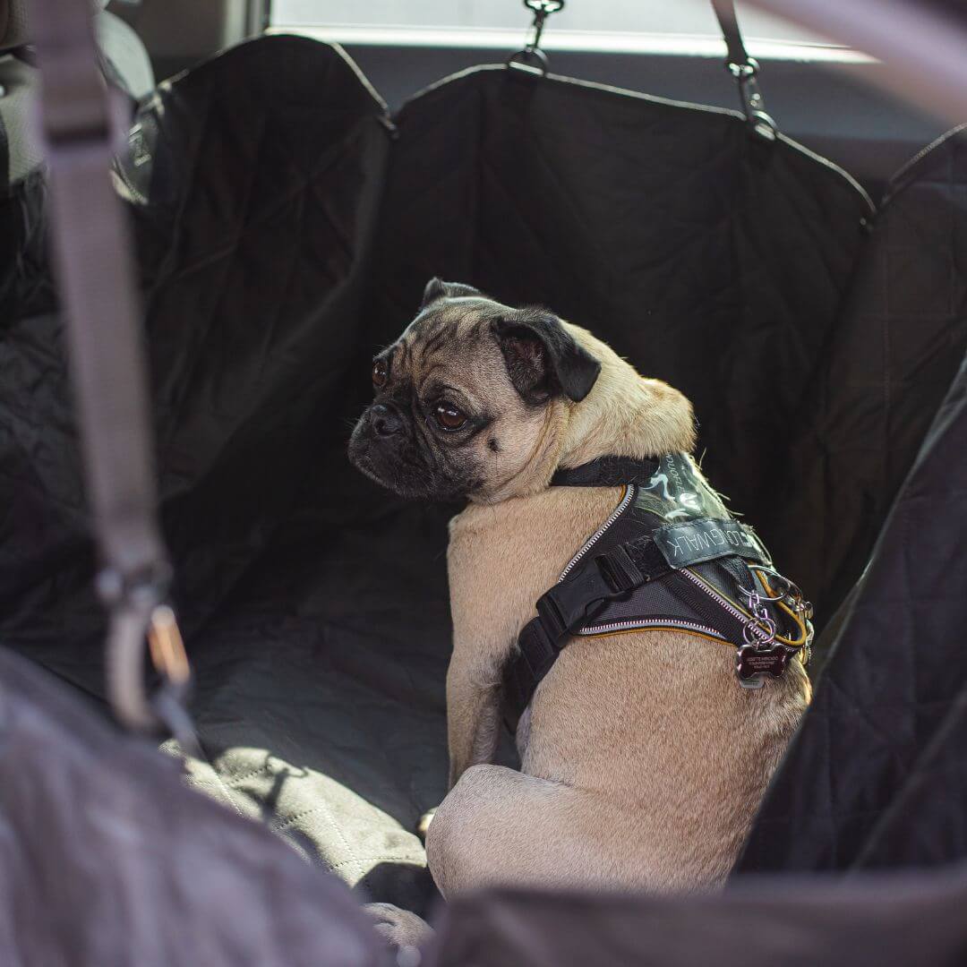 Waterproof Pet Hammock Dog Car Seat Cover