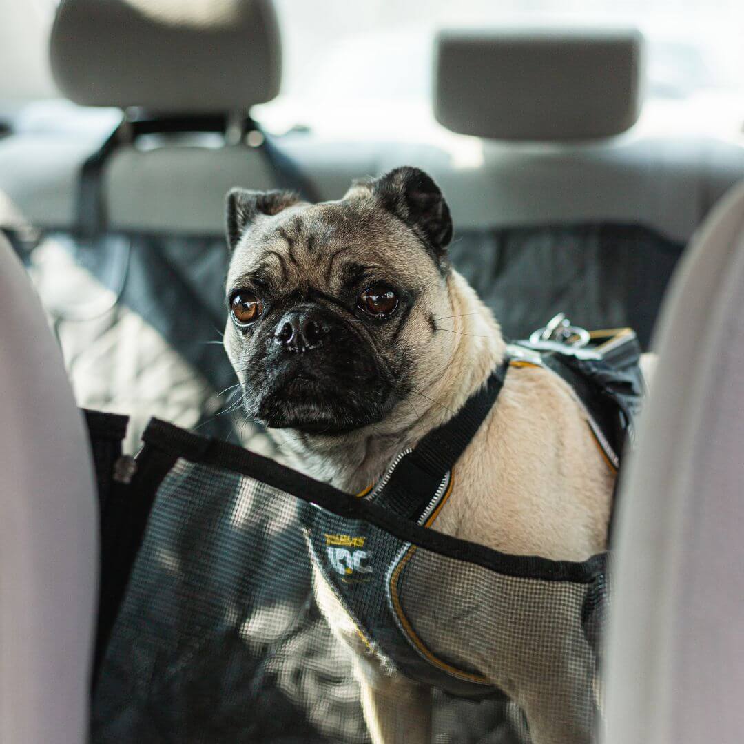 Waterproof Pet Hammock Dog Car Seat Cover